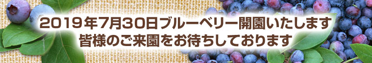 2014年9月10日ブルーベリー閉園いたします  ご来園誠にありがとうございました